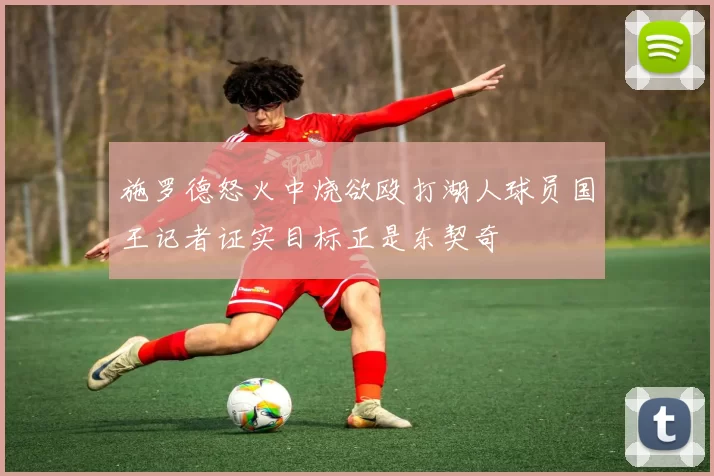 施罗德怒火中烧欲殴打湖人球员国王记者证实目标正是东契奇