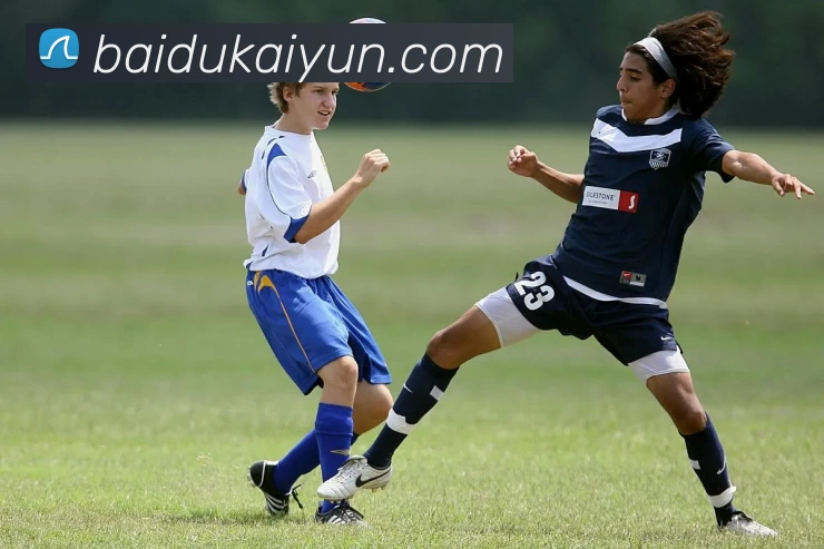 App Interface Preview